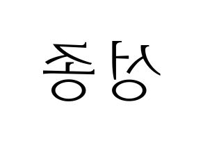 KPOP INFINITE(인피니트、インフィニット) 성종 (ソンジョン) 応援ボード・うちわ　韓国語/ハングル文字型紙 左右反転