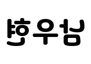 KPOP INFINITE(인피니트、インフィニット) 우현 (ウヒョン) 応援ボード・うちわ　韓国語/ハングル文字型紙 左右反転