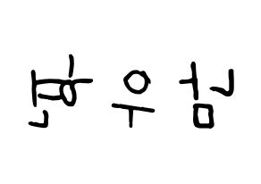KPOP INFINITE(인피니트、インフィニット) 우현 (ウヒョン) k-pop 応援ボード メッセージ 型紙 左右反転