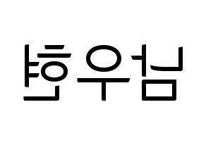 KPOP INFINITE(인피니트、インフィニット) 우현 (ウヒョン) コンサート用　応援ボード・うちわ　韓国語/ハングル文字型紙 左右反転