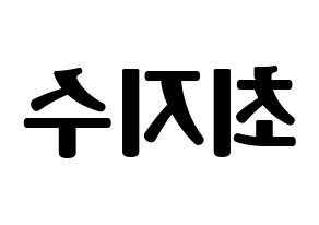 KPOP ITZY(있지、イッジ) 리아 (リア) コンサート用　応援ボード・うちわ　韓国語/ハングル文字型紙 左右反転
