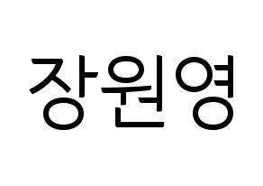 KPOP IZ*ONE(아이즈원、アイズワン) 장원영 (チャン・ウォニョン) コンサート用　応援ボード・うちわ　韓国語/ハングル文字型紙 通常