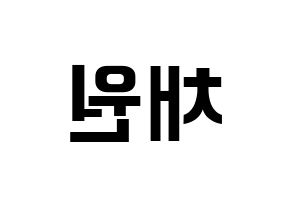 KPOP IZ*ONE(아이즈원、アイズワン) 김채원 (キム・チェウォン) k-pop アイドル名前 ファンサボード 型紙 左右反転