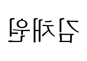 KPOP IZ*ONE(아이즈원、アイズワン) 김채원 (キム・チェウォン) 応援ボード・うちわ　韓国語/ハングル文字型紙 左右反転