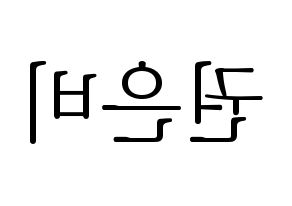 KPOP IZ*ONE(아이즈원、アイズワン) 권은비 (クォン・ウンビ) 応援ボード・うちわ　韓国語/ハングル文字型紙 左右反転