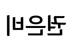 KPOP IZ*ONE(아이즈원、アイズワン) 권은비 (クォン・ウンビ) k-pop アイドル名前 ファンサボード 型紙 左右反転