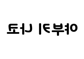 KPOP IZ*ONE(아이즈원、アイズワン) 야부키 나코 (ヤブキナコ) 応援ボード・うちわ　韓国語/ハングル文字型紙 左右反転