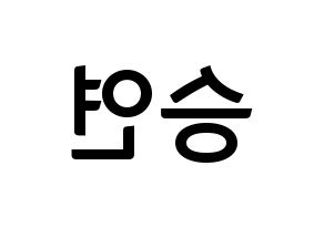 KPOP KARA(카라、カラ) 한승연 (ハン・スンヨン) k-pop アイドル名前 ファンサボード 型紙 左右反転