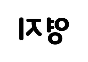 KPOP KARA(카라、カラ) 허영지 (ホ・ヨンジ) 応援ボード・うちわ　韓国語/ハングル文字型紙 左右反転