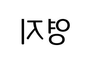 KPOP KARA(카라、カラ) 허영지 (ホ・ヨンジ) プリント用応援ボード型紙、うちわ型紙　韓国語/ハングル文字型紙 左右反転