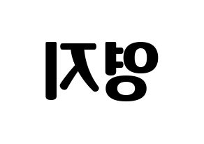 KPOP KARA(카라、カラ) 허영지 (ホ・ヨンジ) コンサート用　応援ボード・うちわ　韓国語/ハングル文字型紙 左右反転
