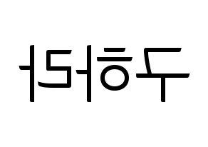 KPOP KARA(카라、カラ) 구하라 (ク・ハラ) コンサート用　応援ボード・うちわ　韓国語/ハングル文字型紙 左右反転
