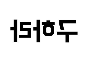 KPOP KARA(카라、カラ) 구하라 (ク・ハラ) k-pop アイドル名前 ファンサボード 型紙 左右反転