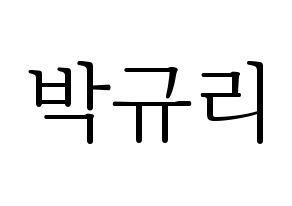 KPOP KARA(카라、カラ) 박규리 (パク・ギュリ) 応援ボード・うちわ　韓国語/ハングル文字型紙 通常