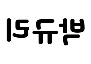 KPOP KARA(카라、カラ) 박규리 (パク・ギュリ) 応援ボード・うちわ　韓国語/ハングル文字型紙 左右反転