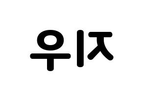 KPOP KARD(카드、カード) 전지우 (チョン・ジウ) 応援ボード・うちわ　韓国語/ハングル文字型紙 左右反転