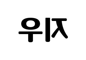 KPOP KARD(카드、カード) 전지우 (チョン・ジウ) コンサート用　応援ボード・うちわ　韓国語/ハングル文字型紙 左右反転