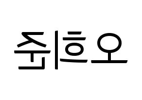 KPOP KNK(크나큰、クナクン) 오희준 (ヒジュン) コンサート用　応援ボード・うちわ　韓国語/ハングル文字型紙 左右反転