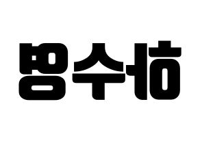 KPOP LOONA(이달의 소녀、今月の少女) 이브 (イブ) コンサート用　応援ボード・うちわ　韓国語/ハングル文字型紙 左右反転