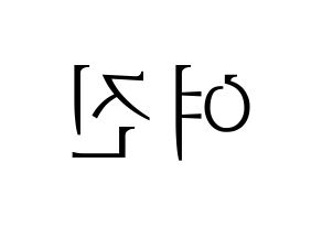 KPOP LOONA(이달의 소녀、今月の少女) 여진 (ヨジン) 応援ボード・うちわ　韓国語/ハングル文字型紙 左右反転