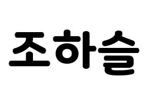 KPOP LOONA(이달의 소녀、今月の少女) 하슬 (ハスル) 応援ボード・うちわ　韓国語/ハングル文字型紙 通常