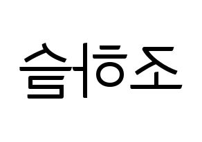 KPOP LOONA(이달의 소녀、今月の少女) 하슬 (ハスル) コンサート用　応援ボード・うちわ　韓国語/ハングル文字型紙 左右反転