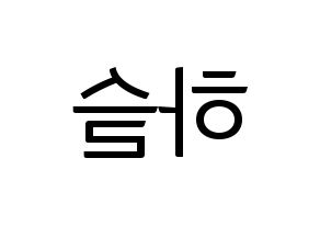 KPOP LOONA(이달의 소녀、今月の少女) 하슬 (ハスル) コンサート用　応援ボード・うちわ　韓国語/ハングル文字型紙 左右反転