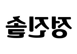 KPOP LOONA(이달의 소녀、今月の少女) 진솔 (ジンソル) コンサート用　応援ボード・うちわ　韓国語/ハングル文字型紙 左右反転