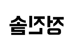 KPOP LOONA(이달의 소녀、今月の少女) 진솔 (ジンソル) k-pop アイドル名前 ファンサボード 型紙 左右反転