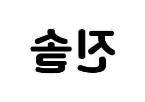 KPOP LOONA(이달의 소녀、今月の少女) 진솔 (ジンソル) 応援ボード・うちわ　韓国語/ハングル文字型紙 左右反転