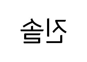 KPOP LOONA(이달의 소녀、今月の少女) 진솔 (ジンソル) コンサート用　応援ボード・うちわ　韓国語/ハングル文字型紙 左右反転