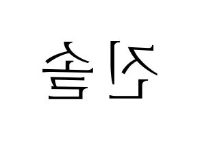 KPOP LOONA(이달의 소녀、今月の少女) 진솔 (ジンソル) 応援ボード・うちわ　韓国語/ハングル文字型紙 左右反転