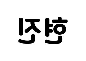 KPOP LOONA(이달의 소녀、今月の少女) 현진 (ヒョンジン) 応援ボード・うちわ　韓国語/ハングル文字型紙 左右反転