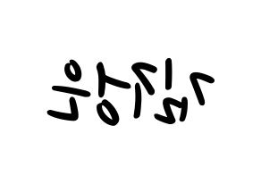 KPOP LOONA(이달의 소녀、今月の少女) 김립 (キムリプ) 応援ボード ハングル 型紙  左右反転