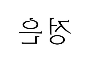 KPOP LOONA(이달의 소녀、今月の少女) 김립 (キムリプ) 応援ボード・うちわ　韓国語/ハングル文字型紙 左右反転