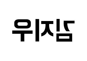 KPOP LOONA(이달의 소녀、今月の少女) 츄 (チュウ) k-pop アイドル名前 ファンサボード 型紙 左右反転