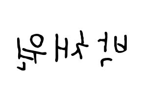 KPOP LOONA(이달의 소녀、今月の少女) 고원 (コウォン) k-pop 応援ボード メッセージ 型紙 左右反転