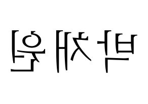 KPOP LOONA(이달의 소녀、今月の少女) 고원 (コウォン) 応援ボード・うちわ　韓国語/ハングル文字型紙 左右反転