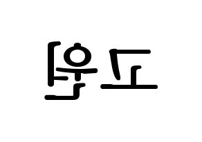 KPOP LOONA(이달의 소녀、今月の少女) 고원 (コウォン) プリント用応援ボード型紙、うちわ型紙　韓国語/ハングル文字型紙 左右反転