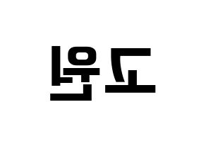 KPOP LOONA(이달의 소녀、今月の少女) 고원 (コウォン) k-pop アイドル名前 ファンサボード 型紙 左右反転