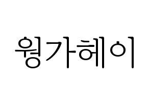 KPOP LOONA(이달의 소녀、今月の少女) 비비 (ビビ) 応援ボード・うちわ　韓国語/ハングル文字型紙 通常