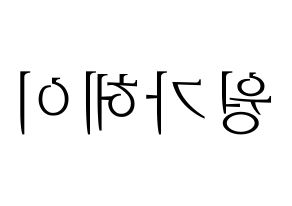 KPOP LOONA(이달의 소녀、今月の少女) 비비 (ビビ) 応援ボード・うちわ　韓国語/ハングル文字型紙 左右反転