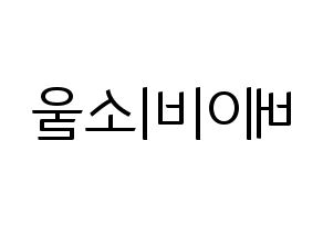 KPOP LOVELYZ(러블리즈、ラブリーズ) 베이비소울 (ベイビーソウル) コンサート用　応援ボード・うちわ　韓国語/ハングル文字型紙 左右反転