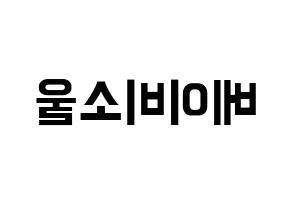 KPOP LOVELYZ(러블리즈、ラブリーズ) 베이비소울 (ベイビーソウル) k-pop アイドル名前 ファンサボード 型紙 左右反転