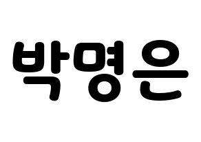 KPOP LOVELYZ(러블리즈、ラブリーズ) 진 (ジン) 応援ボード・うちわ　韓国語/ハングル文字型紙 通常
