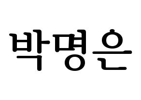 KPOP LOVELYZ(러블리즈、ラブリーズ) 진 (ジン) プリント用応援ボード型紙、うちわ型紙　韓国語/ハングル文字型紙 通常