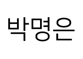 KPOP LOVELYZ(러블리즈、ラブリーズ) 진 (ジン) プリント用応援ボード型紙、うちわ型紙　韓国語/ハングル文字型紙 通常