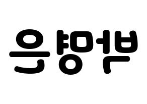 KPOP LOVELYZ(러블리즈、ラブリーズ) 진 (ジン) 応援ボード・うちわ　韓国語/ハングル文字型紙 左右反転