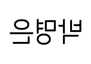 KPOP LOVELYZ(러블리즈、ラブリーズ) 진 (ジン) コンサート用　応援ボード・うちわ　韓国語/ハングル文字型紙 左右反転