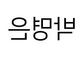 KPOP LOVELYZ(러블리즈、ラブリーズ) 진 (ジン) プリント用応援ボード型紙、うちわ型紙　韓国語/ハングル文字型紙 左右反転